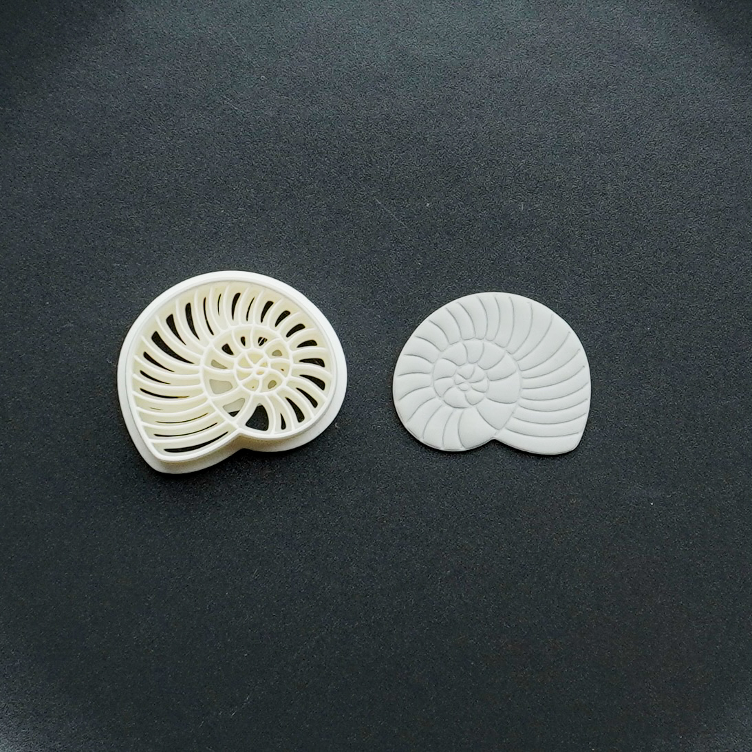 Clay Cutter #5 Seashell